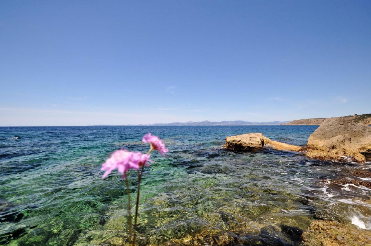 Villa Hugo- Badia Gran- Llucmajor- Mallorca Luaran gambar